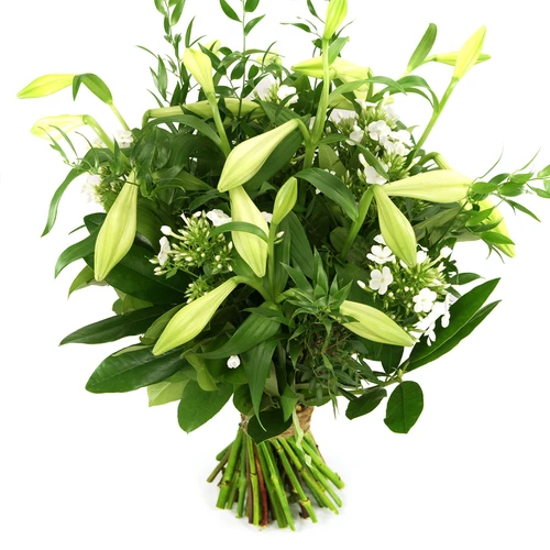 De bloem van de week: De lelie